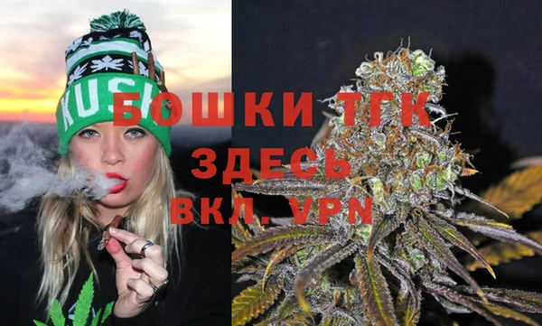 соль ск Алзамай