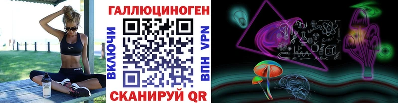 omg вход  где найти   Полярный  Галлюциногенные грибы GOLDEN TEACHER 
